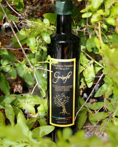 olio.jpg olio.jpg
